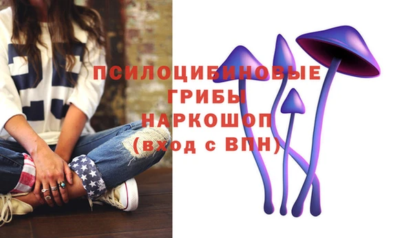 СК Касимов
