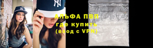 СК Касимов