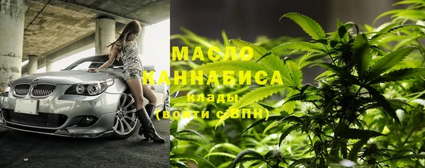 молекула духа Козельск