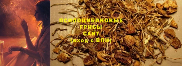 ешки Карпинск