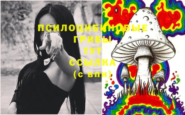 ешки Карпинск